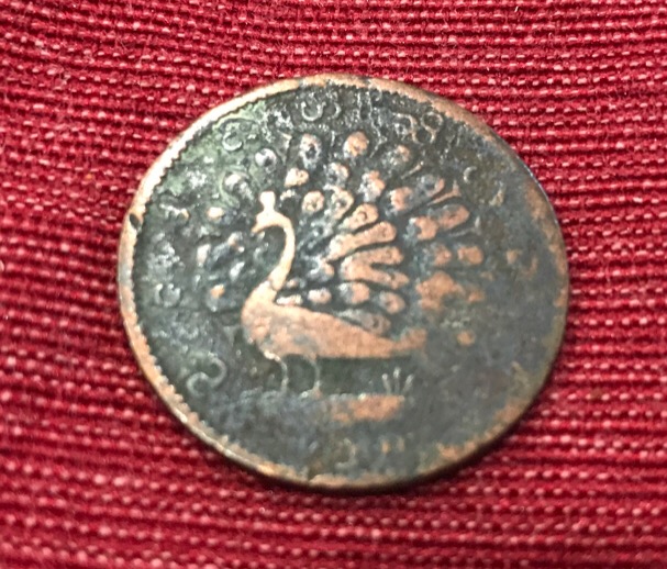 No-Idea-What-This-Is-Looks-Like-A-Peacock-On-It