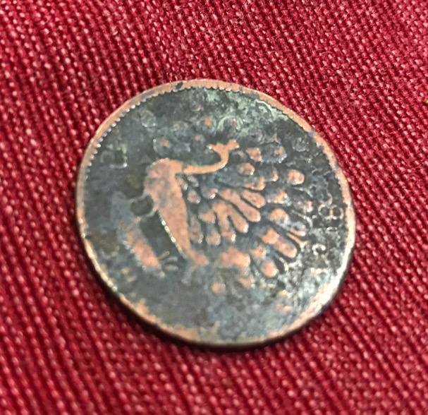 No-Idea-What-This-Is-Looks-Like-A-Peacock-On-It