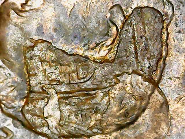 2008-D-Penny-With-Interesting-Letters-Of-Reverse-Of-Coin