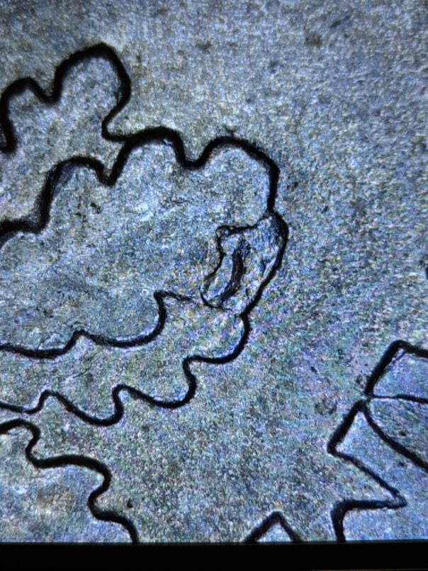 2004-P-Dime-Lamination-Peel-On-Obverse,-Cud-And-Peel-Reverse?