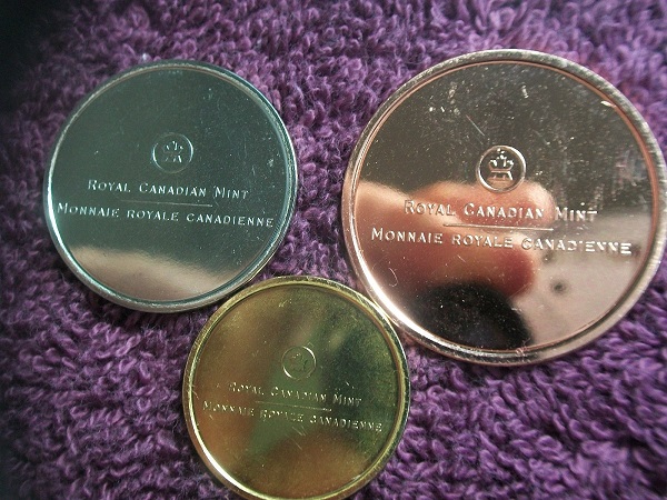 Can-Anyone-Tell-Me-What-These-Are?