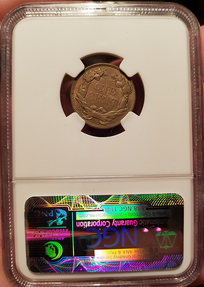 2-General-Questions-For-More-Experienced-Collectors