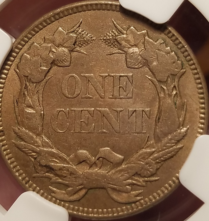 2-General-Questions-For-More-Experienced-Collectors