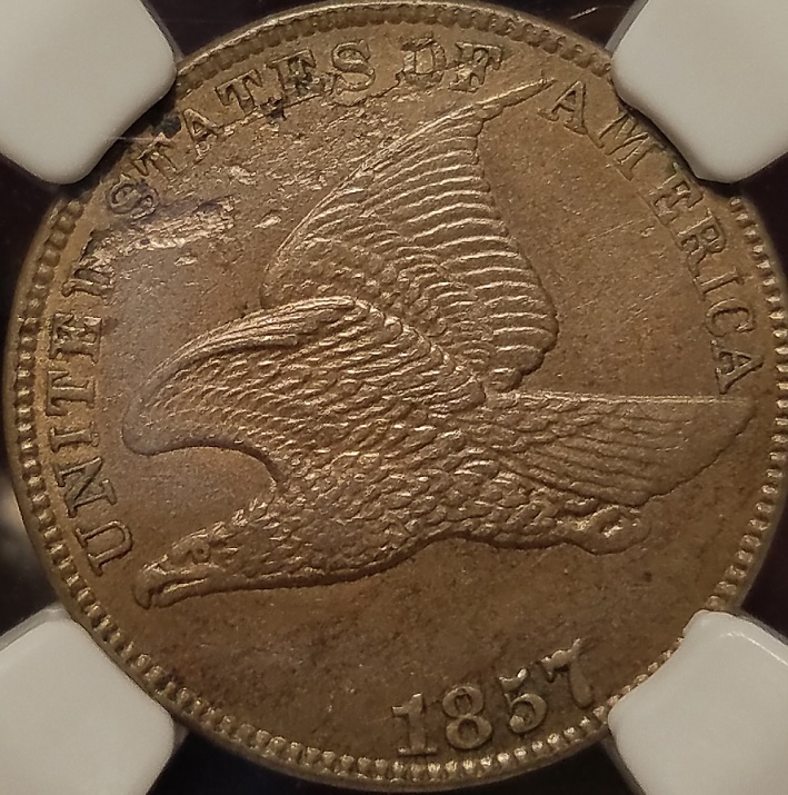 2-General-Questions-For-More-Experienced-Collectors