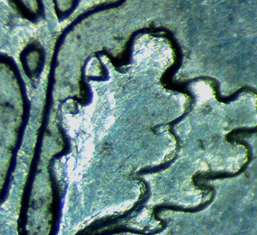 1964-Dime---Unknown-Reverse-Issue