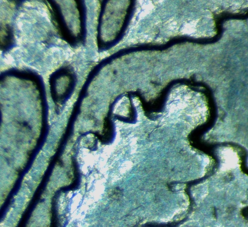 1964-Dime---Unknown-Reverse-Issue