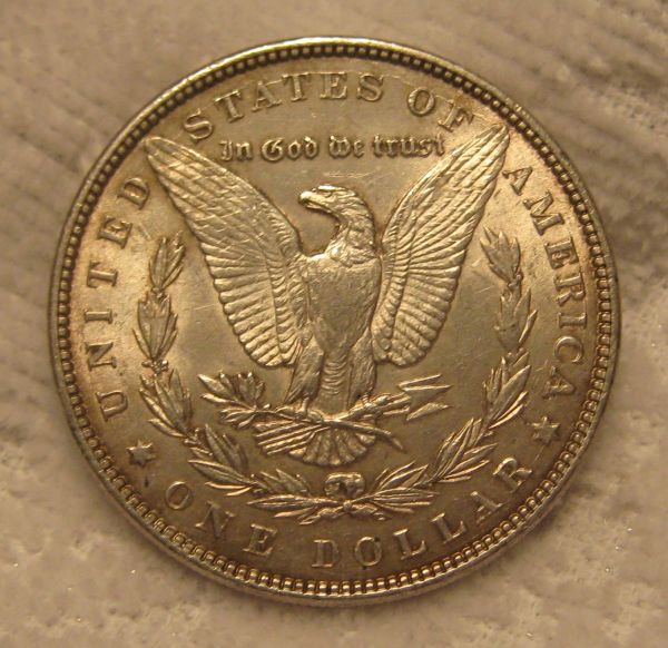 What-Is-Going-On-With-This-Morgan?