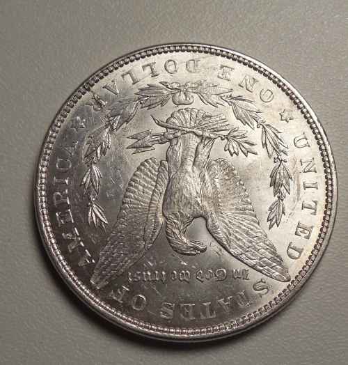 Morgan-$-Struck-Half-Out-Of-/-Partial-Collar?