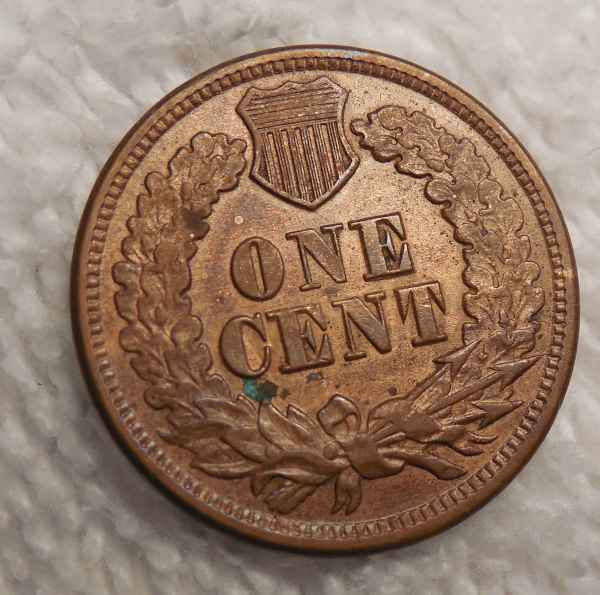 1864-L-Indian-Cent-Is-NGC-Going-To-Details-This?