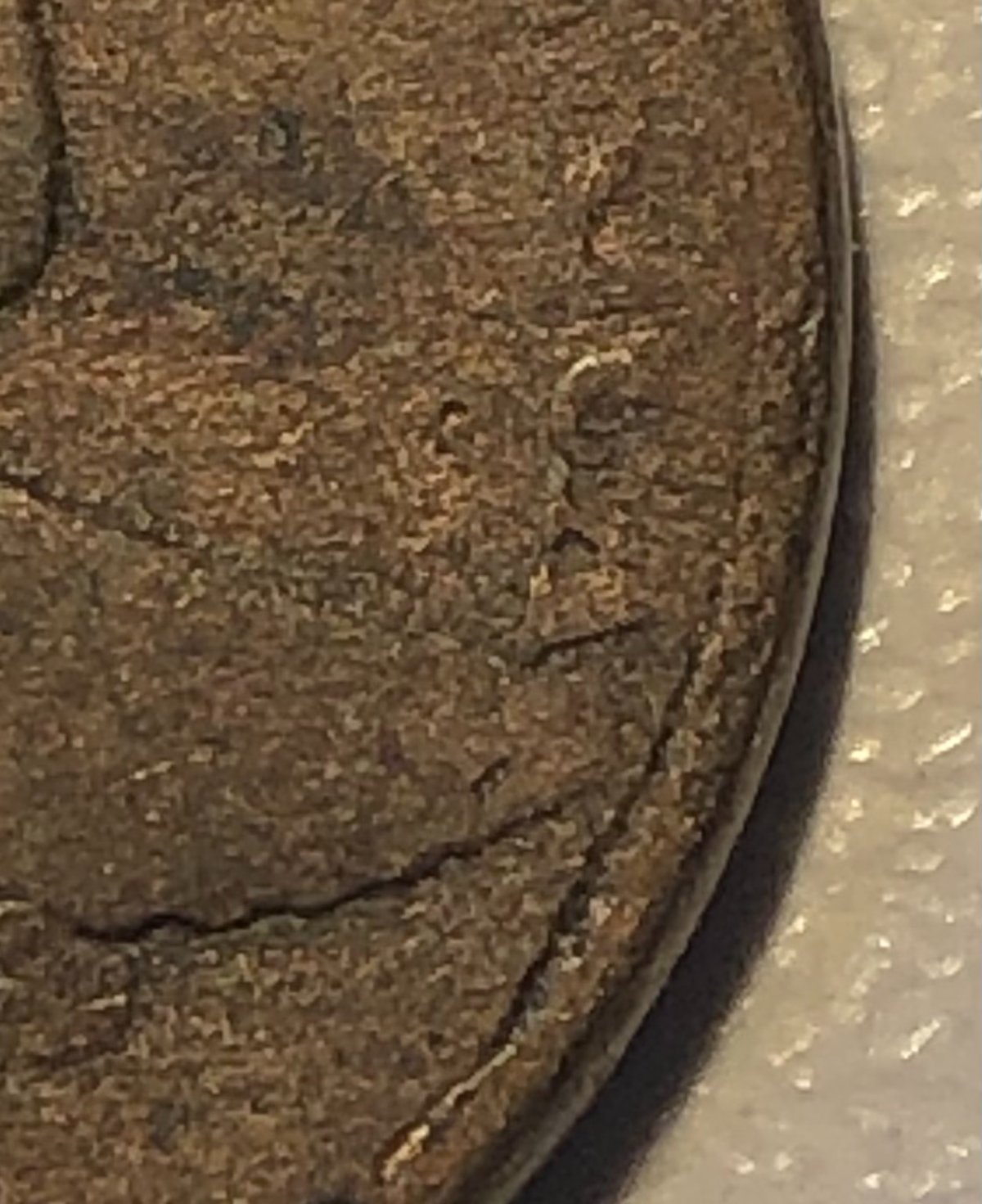 1857-Flying-Eagle-Cent-Double-Die-Help