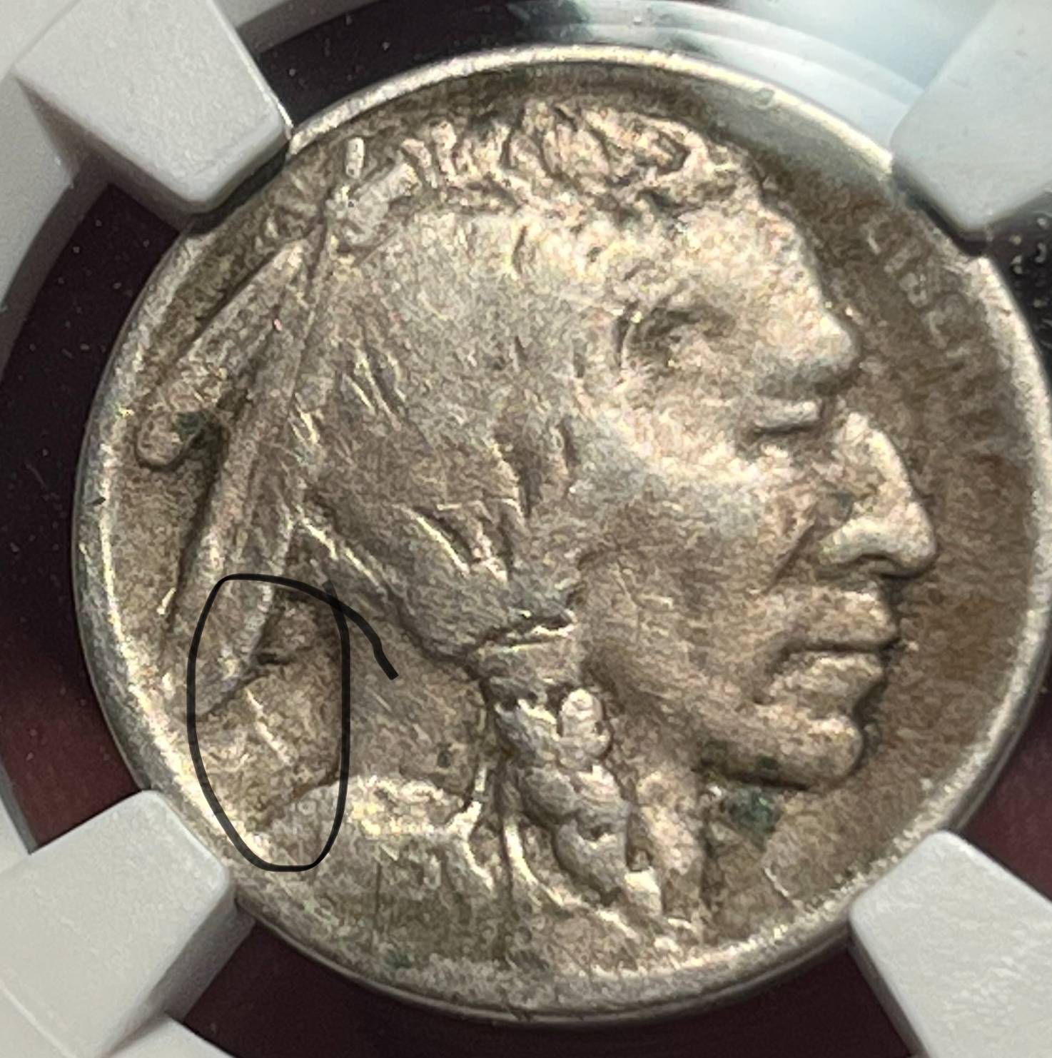 1913-Buffalo-Nickel-.s-Or-D?