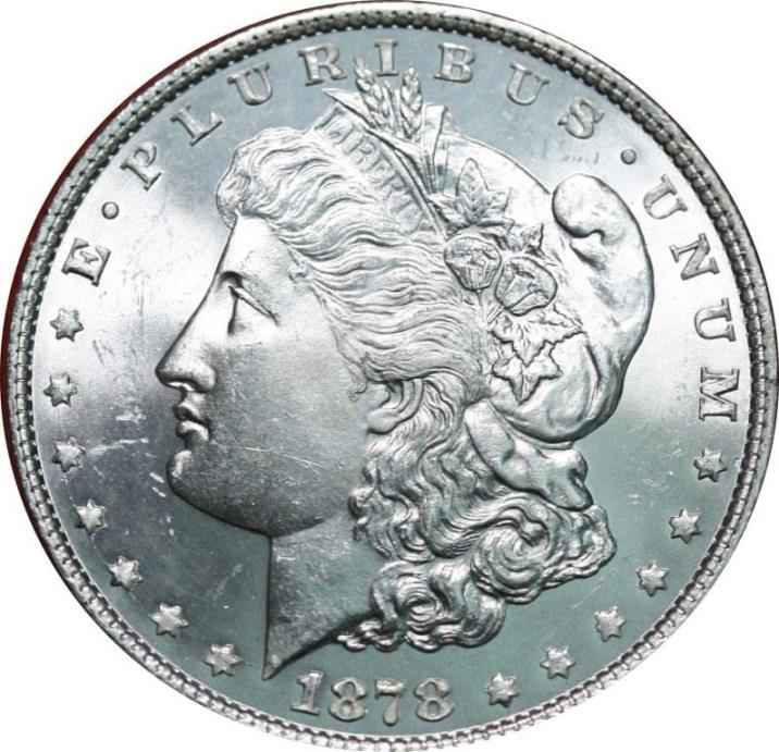 Trying-To-Identify-Possible-VAM-Of-A-Morgan-1878-8-Tf-Coin
