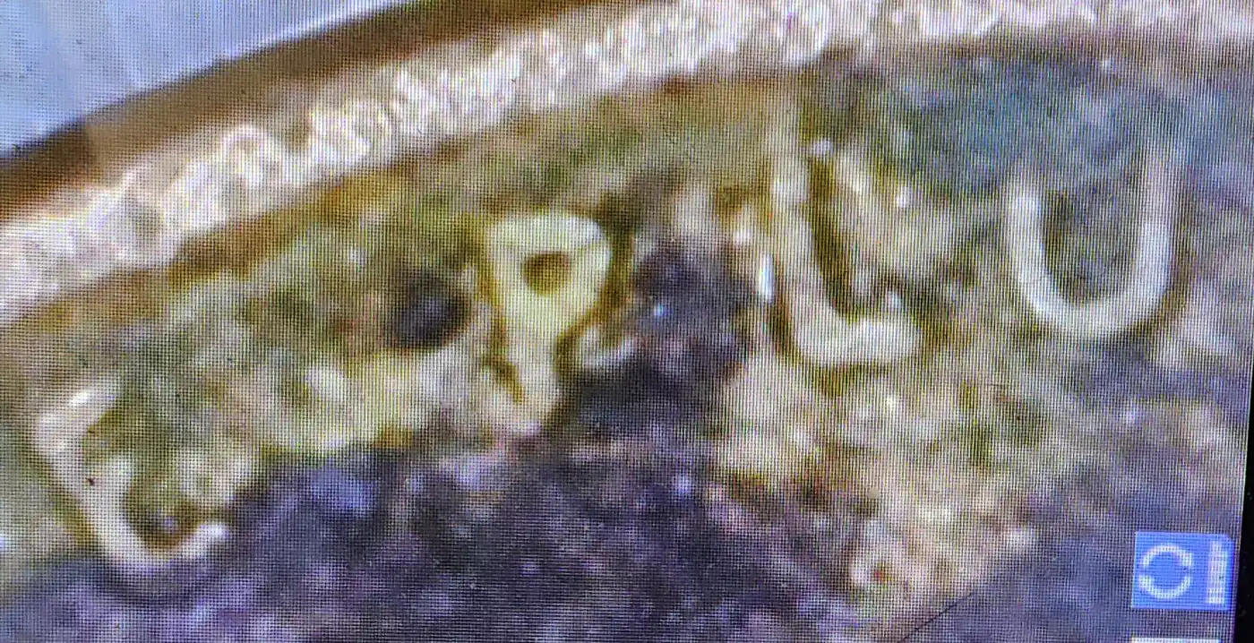 1955-D-Penny-Some-Both-Sides