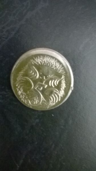 Noodling-Find-Of-The-Week?