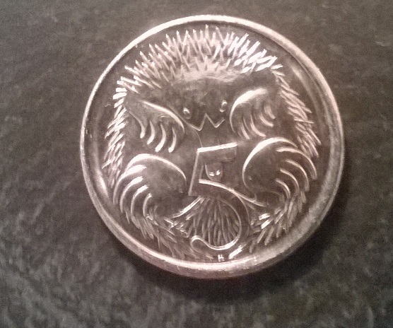 Noodling-Find-Of-The-Week?