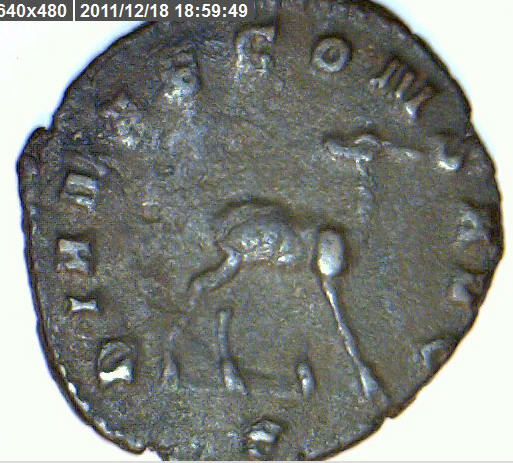 Any-Info-On-This-Ancient?