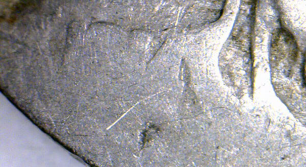 Buffalo-Nickel-Challenge---What-Date-Am-I?