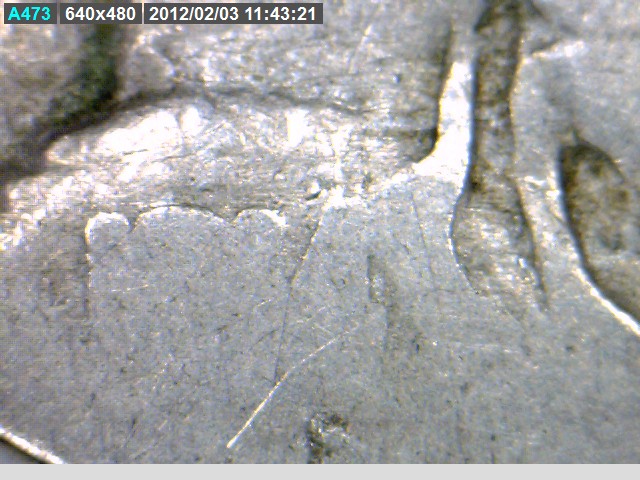 Buffalo-Nickel-Challenge---What-Date-Am-I?