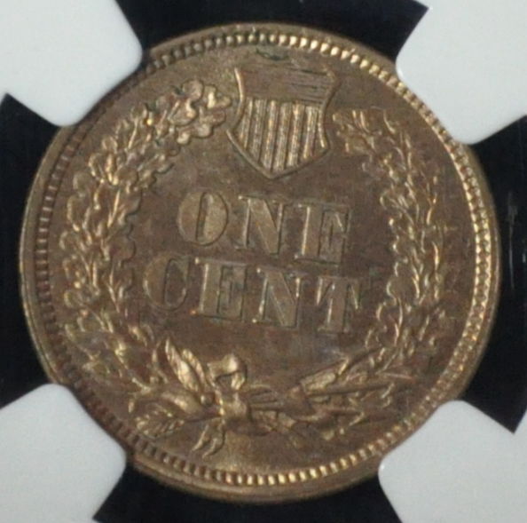 The-51-Days-Of-Indian-Head-Cents-II-With-A-Fe-Cents-Prelude