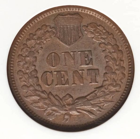 The-51-Days-Of-Indian-Head-Cents-II-With-A-Fe-Cents-Prelude