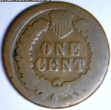 The-51-Days-Of-Indian-Head-Cents-II-With-A-Fe-Cents-Prelude