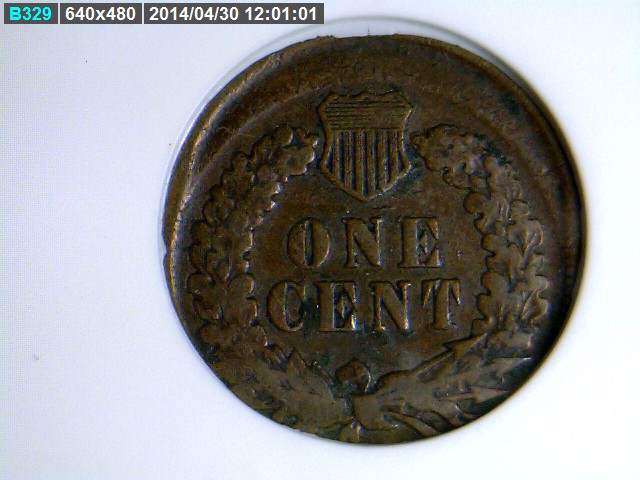 The-51-Days-Of-Indian-Head-Cents-II-With-A-Fe-Cents-Prelude