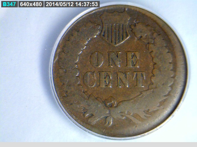 The-51-Days-Of-Indian-Head-Cents-II-With-A-Fe-Cents-Prelude