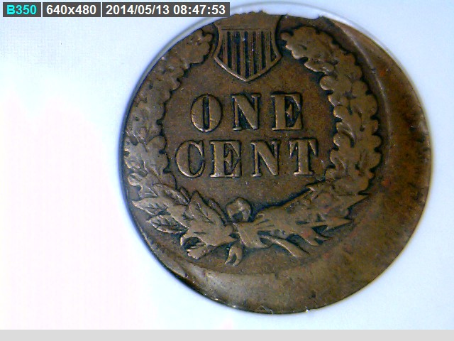 The-51-Days-Of-Indian-Head-Cents-II-With-A-Fe-Cents-Prelude