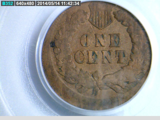 The-51-Days-Of-Indian-Head-Cents-II-With-A-Fe-Cents-Prelude