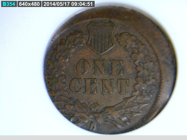 The-51-Days-Of-Indian-Head-Cents-II-With-A-Fe-Cents-Prelude