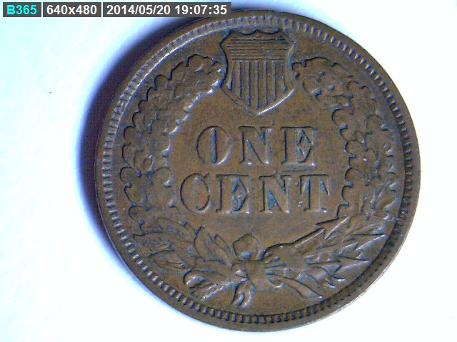 The-51-Days-Of-Indian-Head-Cents-II-With-A-Fe-Cents-Prelude