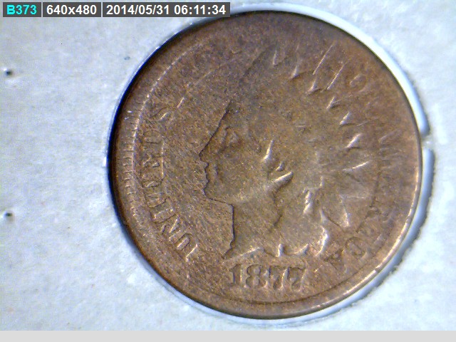 IHC-1877