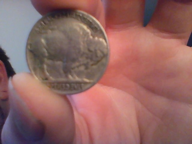 Found-A-1918-Buffalo-For-1$-Whats-It-Worth?
