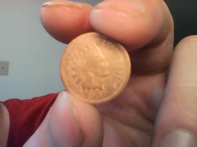 Indian-Head-Pennies