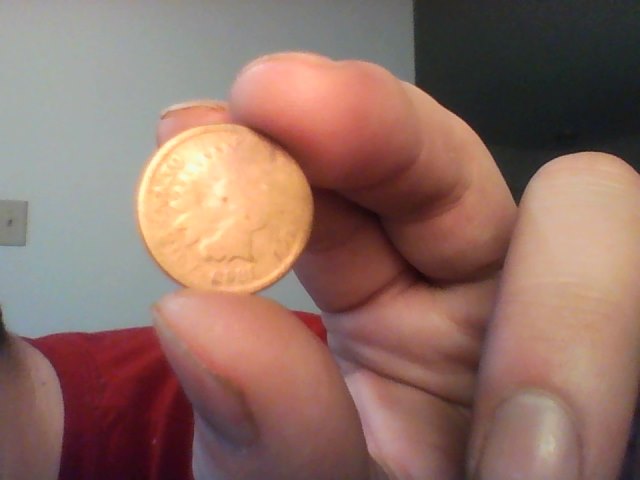Indian-Head-Pennies