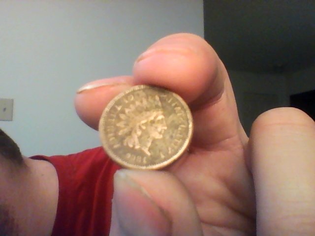 Indian-Head-Pennies
