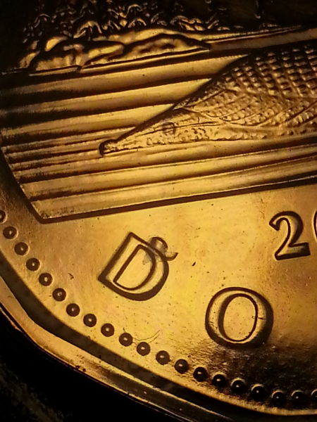 2009-Loonie-With-Plating-Bubbles?