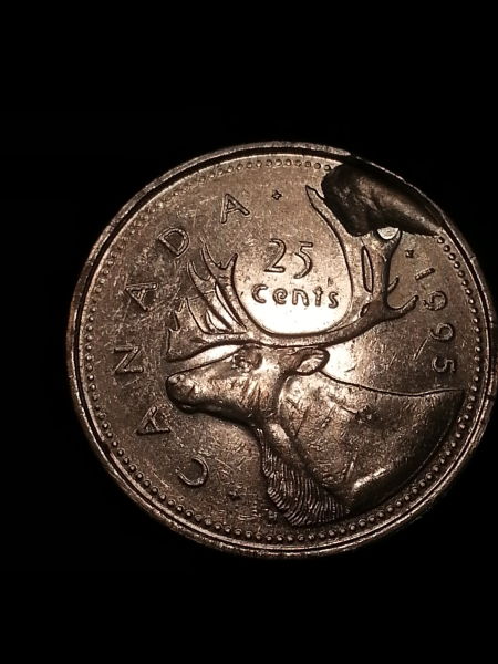 1995-25-Cent-Struck-Through-Or-Planchet-Flaw-Or-PMD?