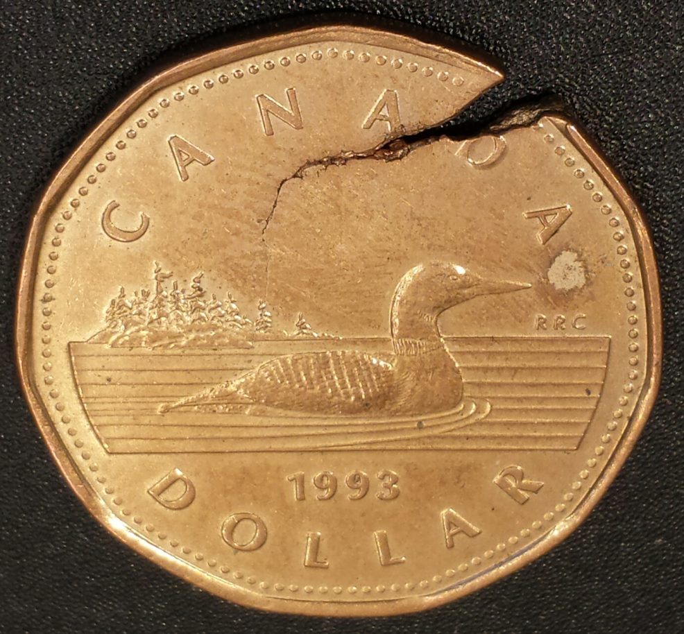 1993-Loonie-Flawed-Planchet