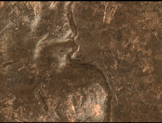 1960-D-SD-Lincoln-Memorial-Cent-DDO