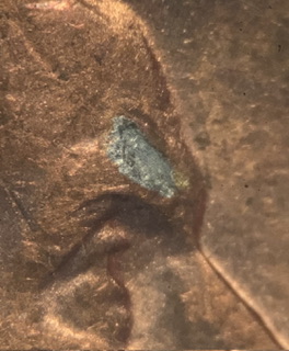 2005-D-Lincoln-Memorial-Cent.-Planchet-Damage