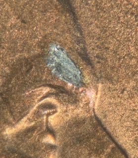 2005-D-Lincoln-Memorial-Cent.-Planchet-Damage
