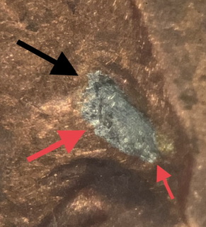 2005-D-Lincoln-Memorial-Cent.-Planchet-Damage