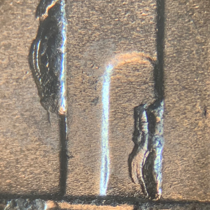 2020-D-Jefferson-Nickel-Doubled-Die-Chips