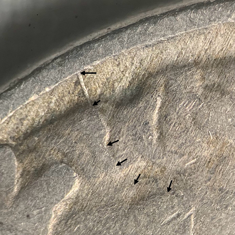 1935-Buffalo-Nickel-Spike-Head