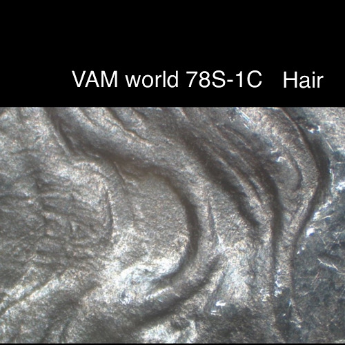 1878-S-Morgan-Dollar-VAM?