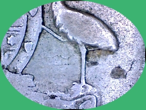 54-Days-Of-Aussie-Predecimal-Coins-Picture-Thread