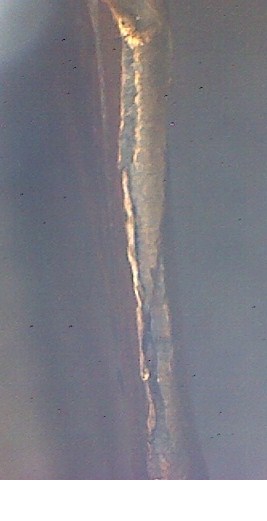 1981-LMC-Error