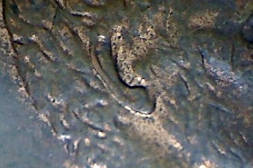 1997-LMC-Double-Ear