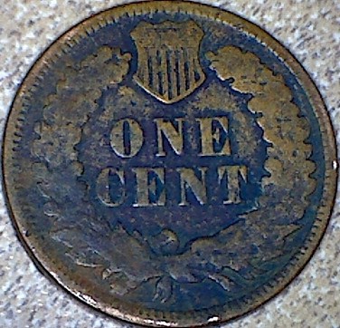 Indian-Head-Pennies-I-Acquired-Today